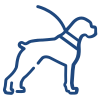 Simple blue outline of a standing dog wearing a harness with a leash attached, facing to the right, on a light gray background.